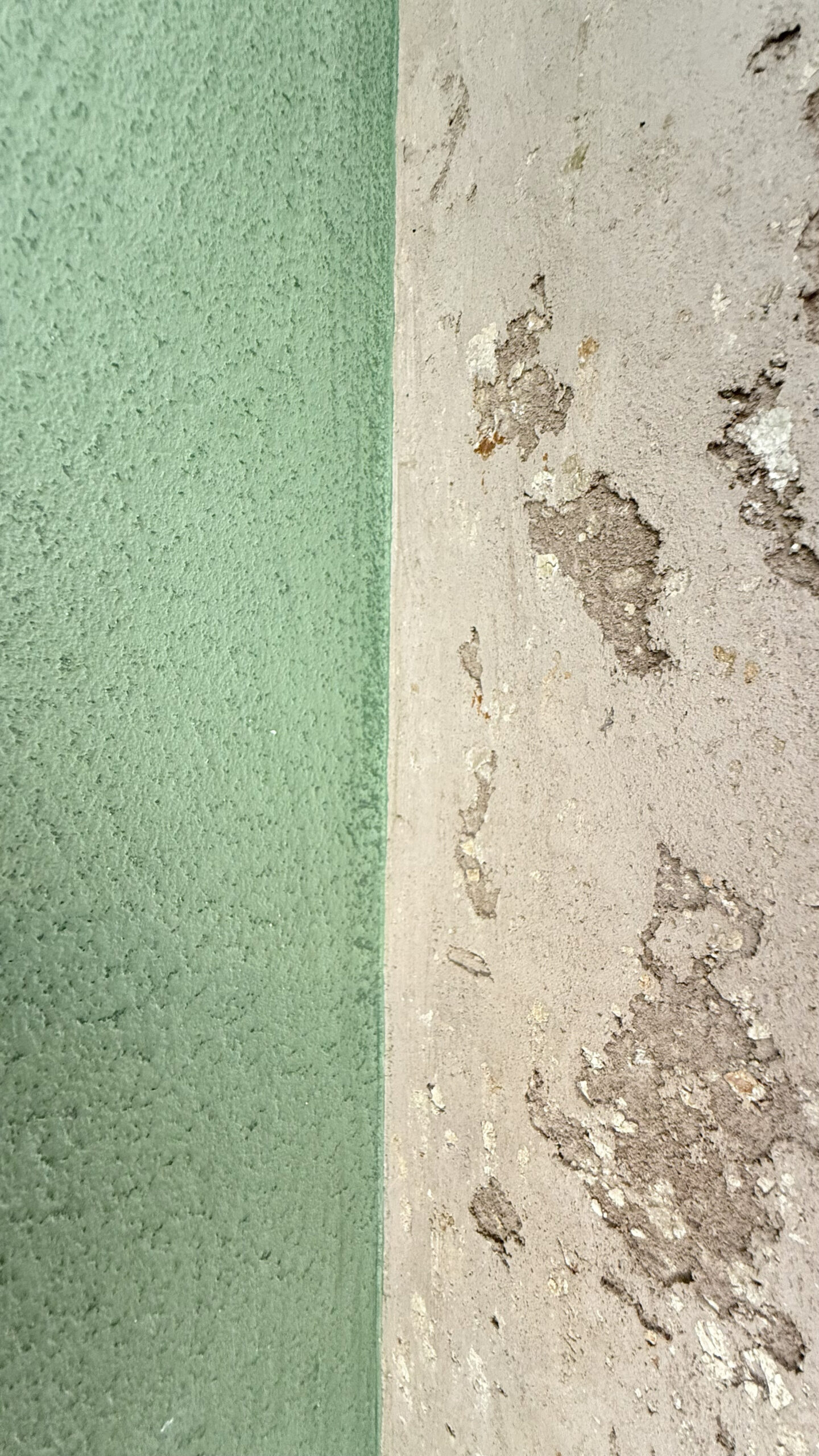 Detail der grünen und mineralischen Wandoberflächen